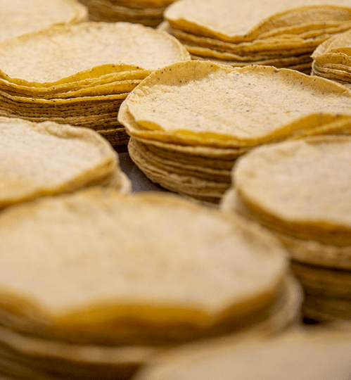 Tortillas de maíz